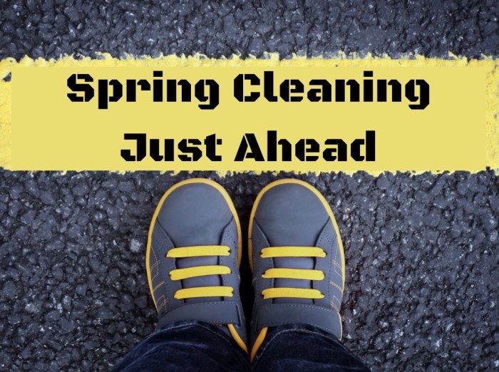 Spring Clean Your Health Routine – The Trent Tribe